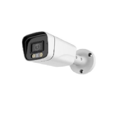 دوربین شبکه 2 مگاپیکسل مدل BWL2 برند هایدید